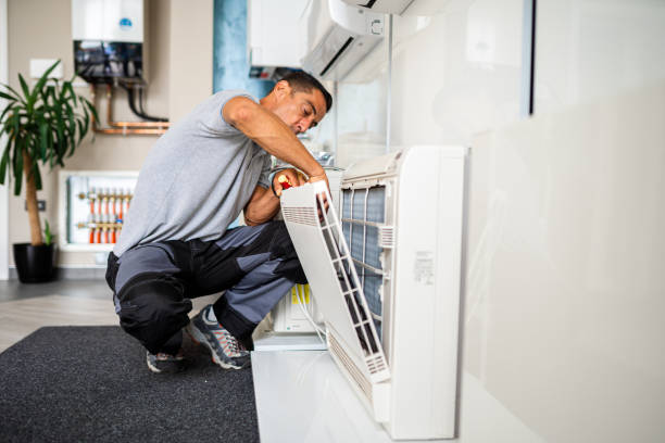 Best Air Duct Sanitizing Services  in Dublin, GA